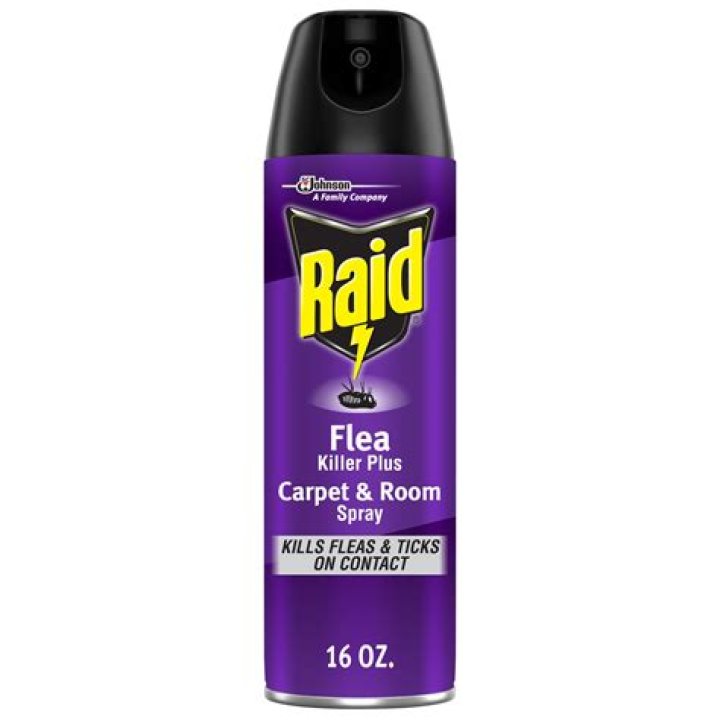 Does raid kill fleas and eggs?