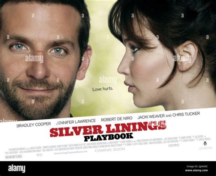 Is Silver Linings Playbook based on a book?